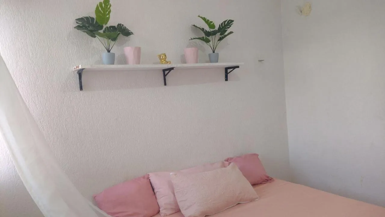 Mariposa, Cancunian Comfort 0*, Cancun
